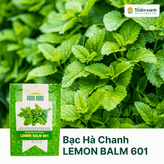 Hạt Giống Bạc Hà Chanh LEMON BALM 601 - Rạng Đông - 1 gram