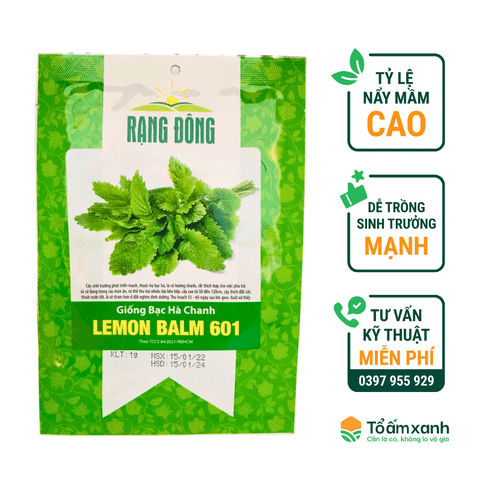 Hạt Giống Bạc Hà Chanh LEMON BALM 601 - Rạng Đông - 1 gram