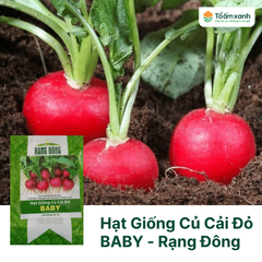 Hạt Giống Củ Cải Đỏ BABY - Rạng Đông