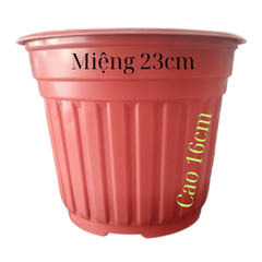 Chậu TTK