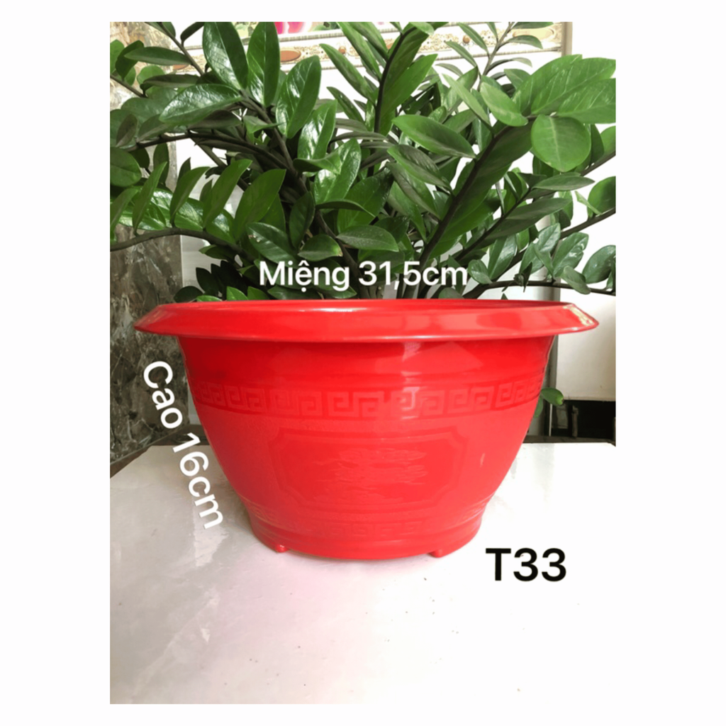 Chậu Tròn Đỏ T