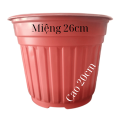 Chậu TTK