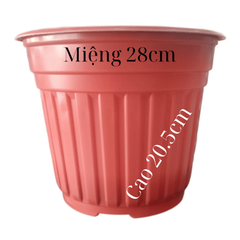 Chậu TTK