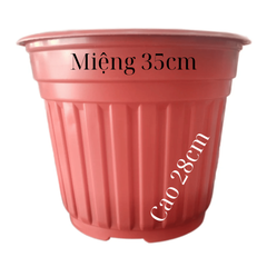 Chậu TTK