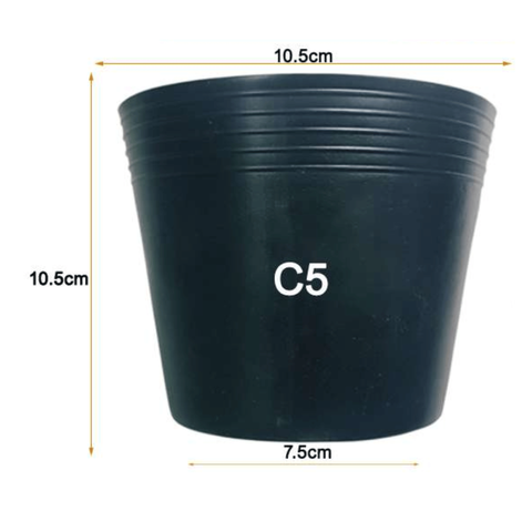 Chậu Nhựa Dẻo Trồng Cây