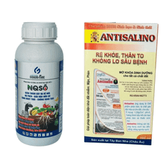 Combo Phân Bón Cho Cây Sầu Riêng
