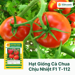 Hạt Giống Cà Chua Chịu Nhiệt F1 T-112 - Sen Vàng