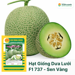 Hạt Giống Dưa Lưới F1 SV 737 - Sen Vàng