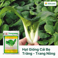 Hạt Giống Cải Bẹ Trắng - Trang Nông