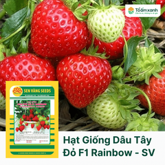 Hạt Giống Dâu Tây Đỏ F1 RAINBOW - Sen Vàng