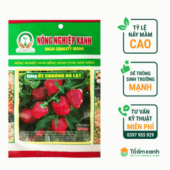 Hạt Giống Ớt Chuông Đà Lạt - Nông Nghiệp Xanh