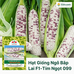 Hạt Giống Ngô Bắp Lai F1 - Tím Ngọt 099 - Hai Mũi Tên Đỏ