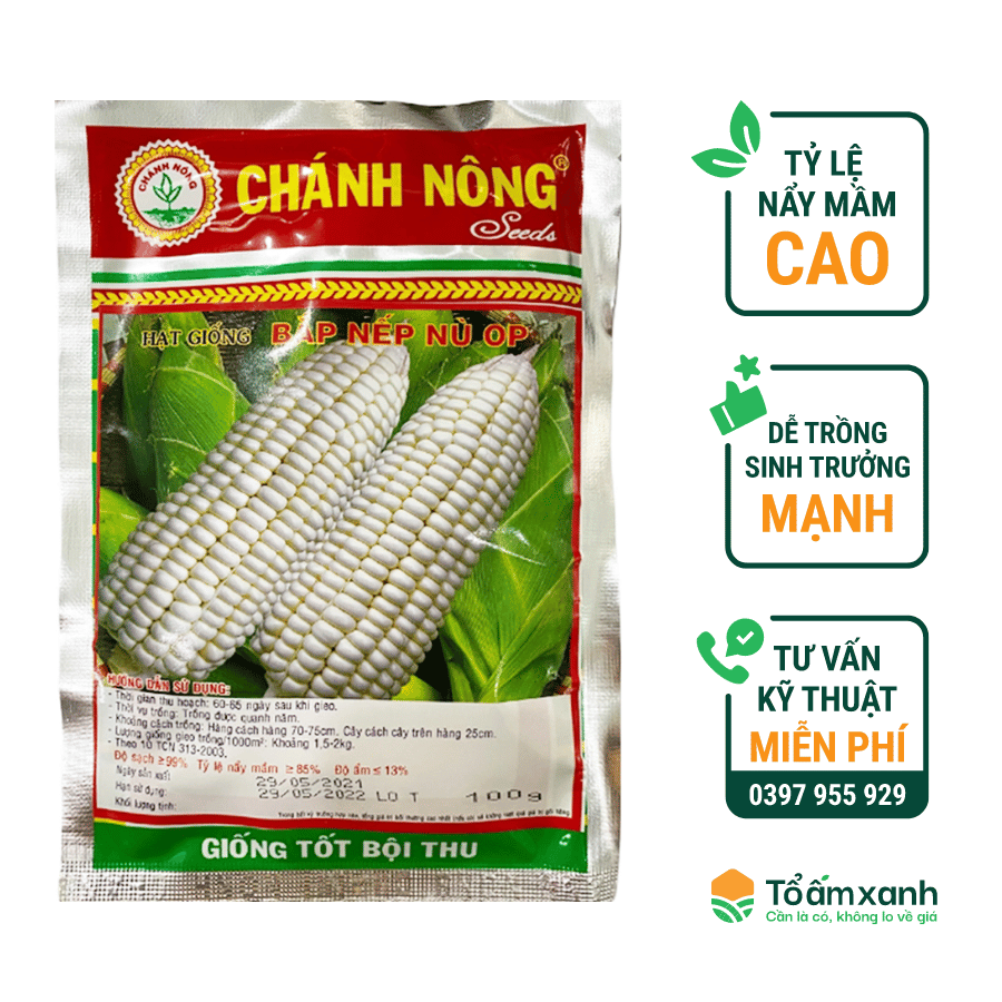 Hạt Giống Bắp Nếp Nù OP - Chánh Nông