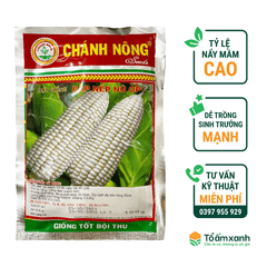 Hạt Giống Bắp Nếp Nù OP - Chánh Nông