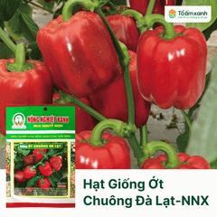 Hạt Giống Ớt Chuông Đà Lạt - Nông Nghiệp Xanh