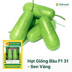Hạt Giống Bầu F1 31 - Sen Vàng