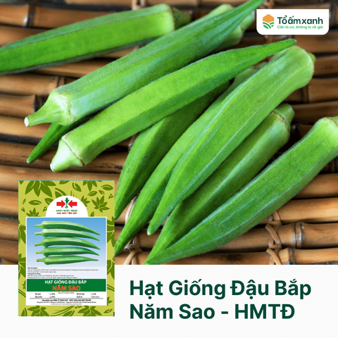 Hạt Giống Đậu Bắp Năm Sao - Hai Mũi Tên Đỏ