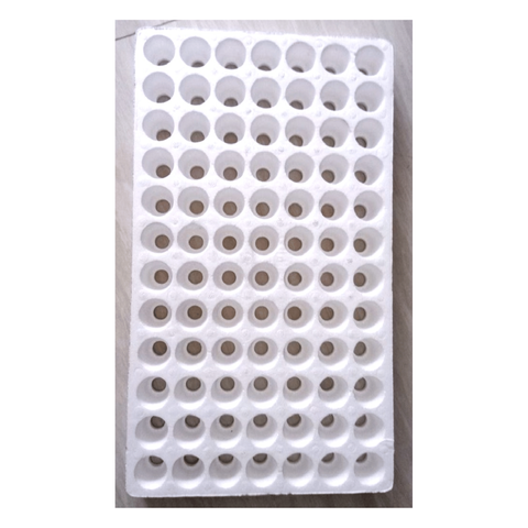 Vỉ Ươm Xốp 84 Lỗ