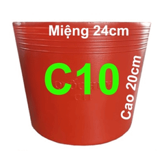 Chậu Dẻo C Đỏ