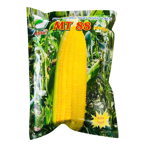 Hạt Giống Ngô Ngọt Lai F1 MT88 Phù Sa - 500gram