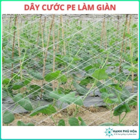 Lưới Làm Giàn Leo Bầu Bí, Mướp, Su Su Và Các Loại Cây Leo - Dây Cước Pe Làm Giàn  - 2 x 5 m