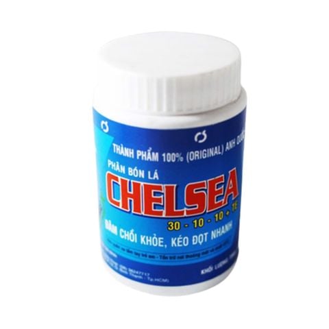 Phân Bón Lá Chelsea
