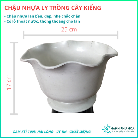 Chậu Nhựa Ly Trồng Cây Kiểng