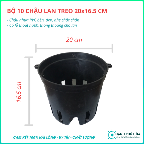 Bộ 10 Chậu Lan Treo 20X16.5 Cm