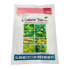Thuốc Trừ Bệnh Cabrio Top 600Wg 100G