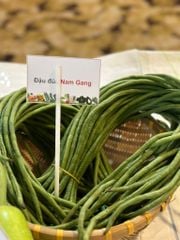 Hạt Giống Đậu Đũa Nam Gang - Hai Mũi Tên Đỏ