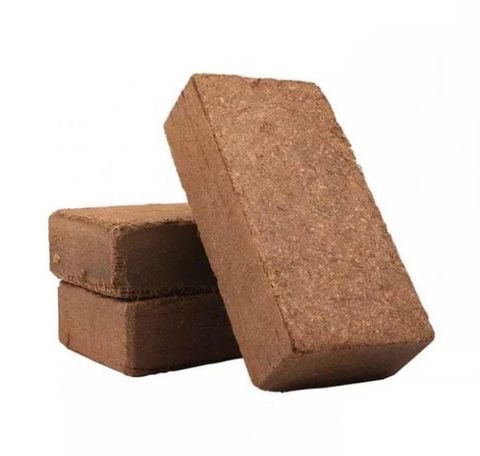 Mụn Xơ Dừa Nén 500gr - Đã Xử Lý