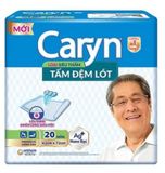  tấm đệm lót người lớn Caryn 