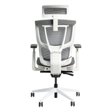  Ghế công thái học Epione ErgoChair Pro Cool Gray 2.0 