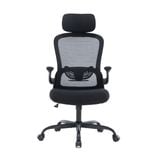  Ghế công thái học Ergonomic Warrior Pawn Series WEC105 Black 