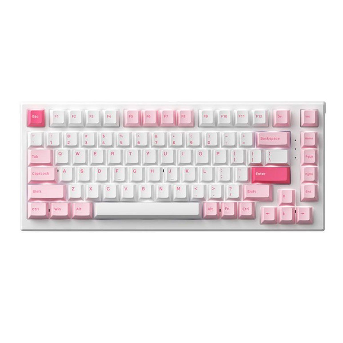 Bàn Phím Cơ Akko Monsgeek Mg75 Prunus Lannesiana Akko V3 Cream Blue Switch