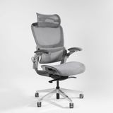  Ghế công thái học Epione Easy Chair Gray SE 