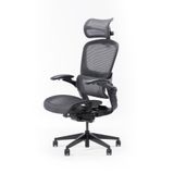  Ghế công thái học Epione Easy Chair v2.0 - Đen 