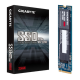  Ổ Cứng SSD Gigabyte M.2 PCIe 256GB (GP-GSM2NE3256GNTD) 