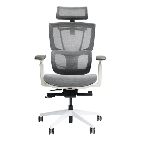  Ghế công thái học Epione ErgoChair Pro Cool Gray 2.0 