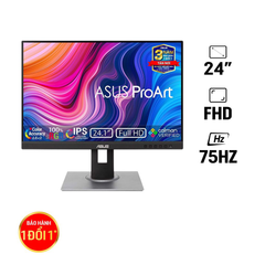  Màn hình ASUS ProArt PA248QV-P 24