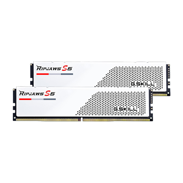  RAM G.Skill Ripjaws S5 16GB (1x16GB) 5600 DDR5 White (F5-5600U3636C16GX2-RS5W) 