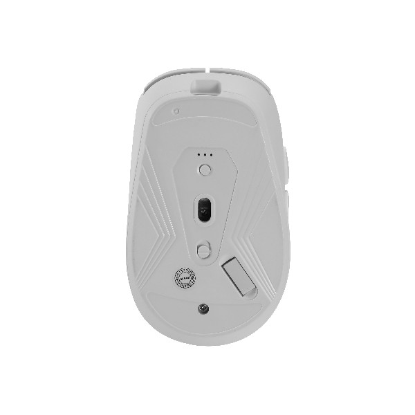  Chuột công thái học E-Dra EM605W White 