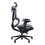  Ghế công thái học Epione ErgoChair Pro Black 2.0 