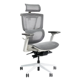  Ghế công thái học Epione ErgoChair Pro Cool Gray 2.0 