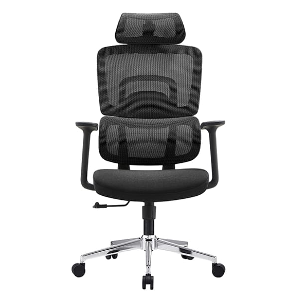 Ghế công thái học E-Dra EEC219