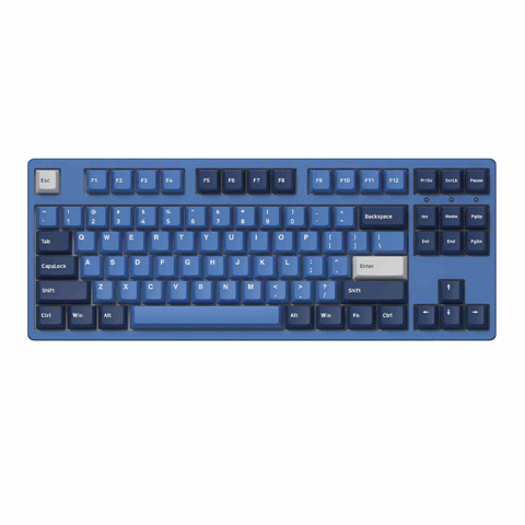 Bàn phím cơ AKKO 3087 v2 DS Ocean Star Akko V3 Switch Cream Blue