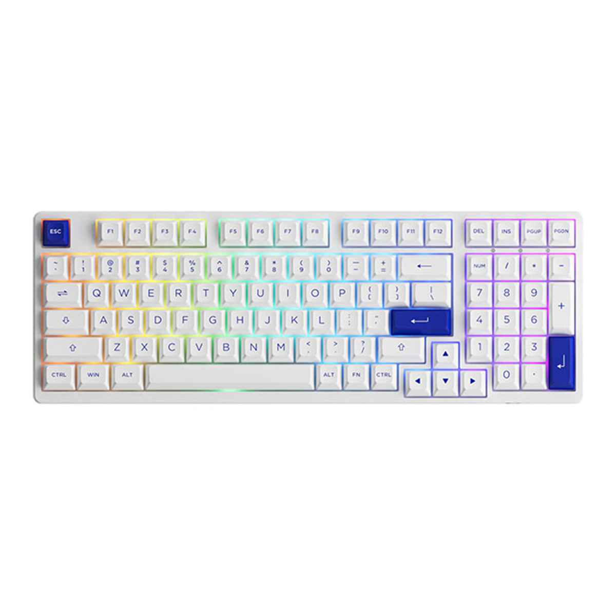 Bàn phím cơ AKKO 3098B Multi-modes Blue on White Akko cs Jelly Purple ...