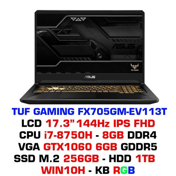  Laptop Asus FX705GM-EV113T 