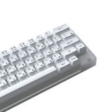  Bàn phím cơ AKKO ACR59 White Jelly White 