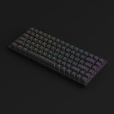  Bàn phím AKKO 3084 v2 RGB Black Jelly Purple 